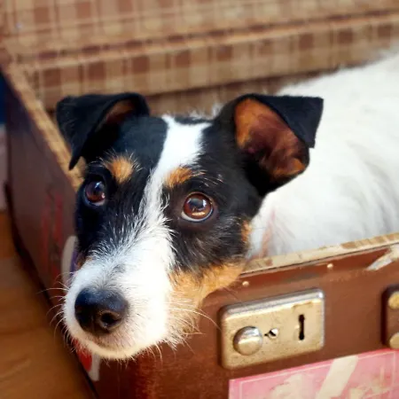 Schloss Hertefeld & Hertefeldhof Hotel