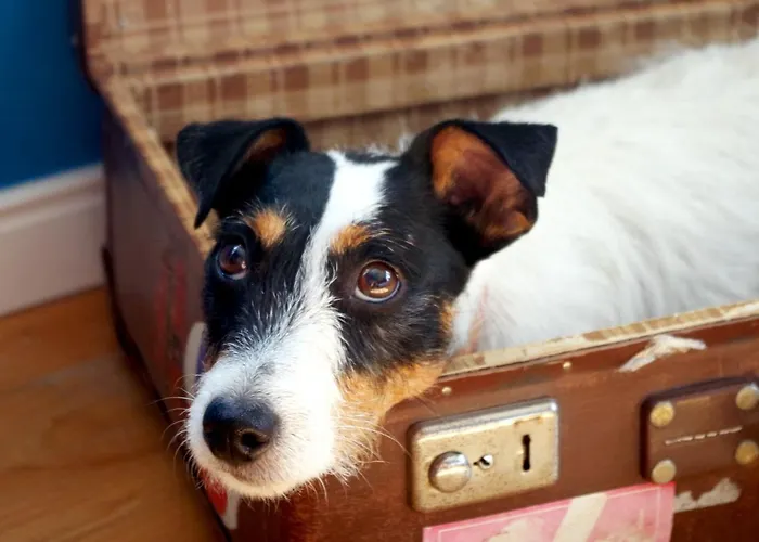 Schloss Hertefeld & Hertefeldhof Отель